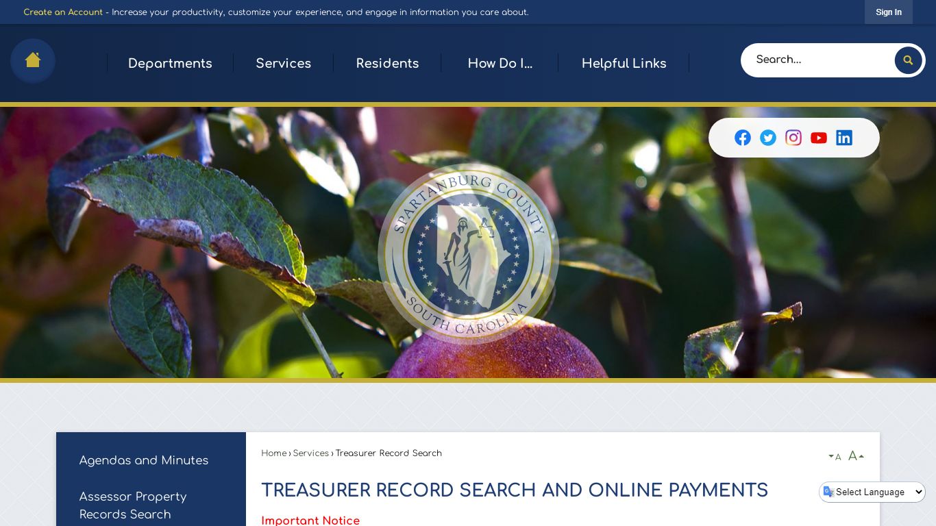 Treasurer Record Search and Online Payments - Spartanburg County